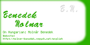 benedek molnar business card